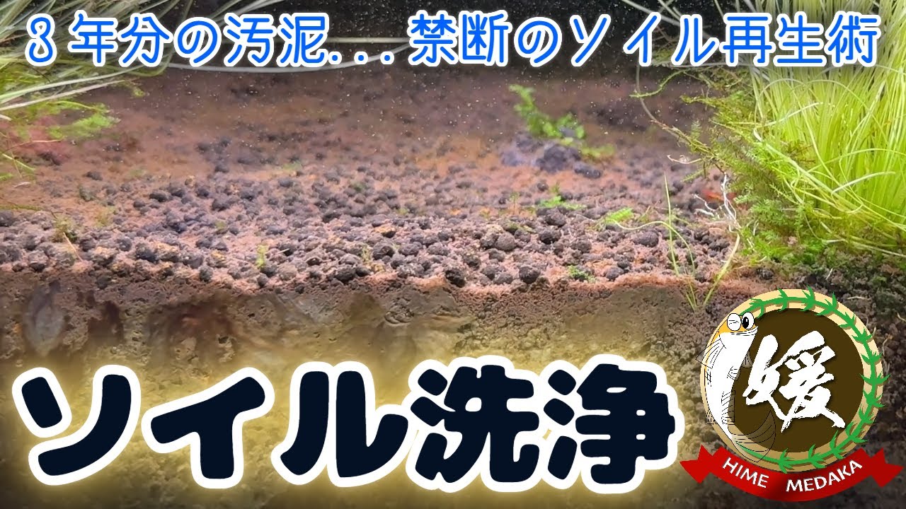 水草水槽のソイルの掃除方法～3年放置した底床の再生テクニック～