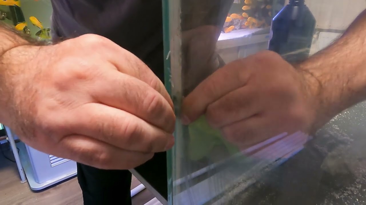 Daily vlog 2   Cum  Repar si recondiționez două acvarii pas cu pas #acvaristica #aquarium #acvariu