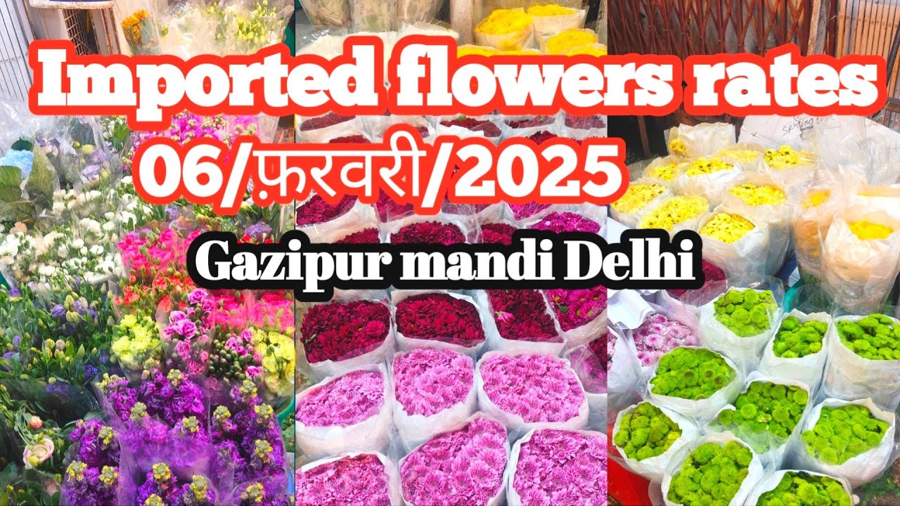 Imported flowers wholesale rates in Gazipur mandi Delhi #flowers #importedfootwear #delhi #fhool
