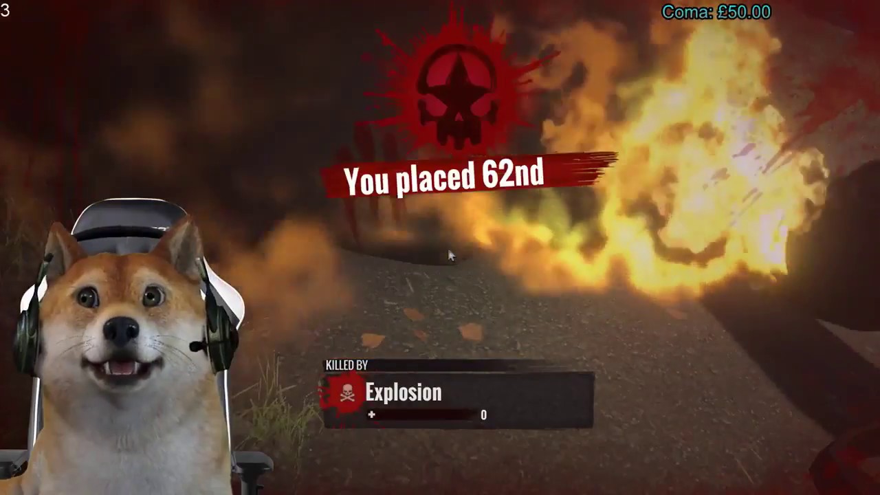 Stream Highlights #1