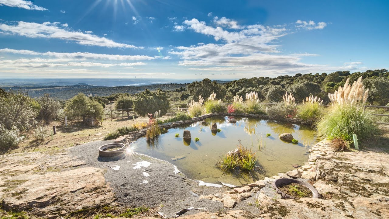 REMAX Lodonar - finca r&uacute;stica - Hoyo de Manzanares/Colmenar Viejo