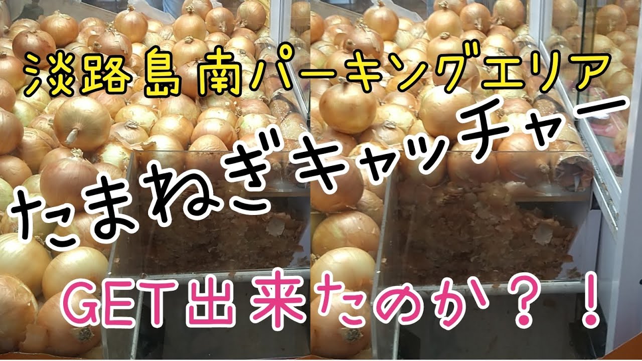 【淡路島】淡路島南パーキングエリア　たまねぎキャッチャーに挑戦！