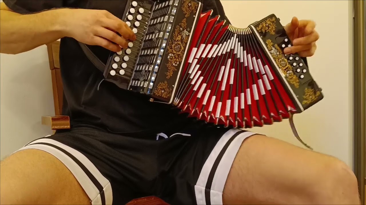 The Wellerman (sea shanty) [Accordion]