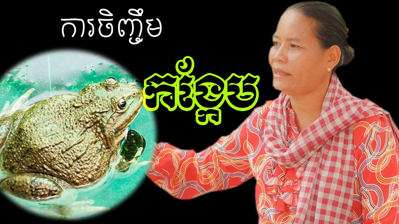 ផ្ទះចិញ្ចឹមកង្កែប បានទិន្នផលខ្ពស់