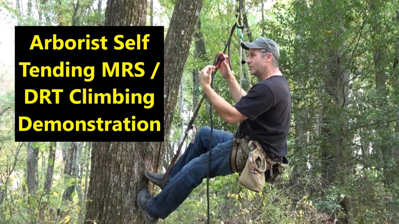 Arborist Self Tending MRS/DRT Climbing Demonstration