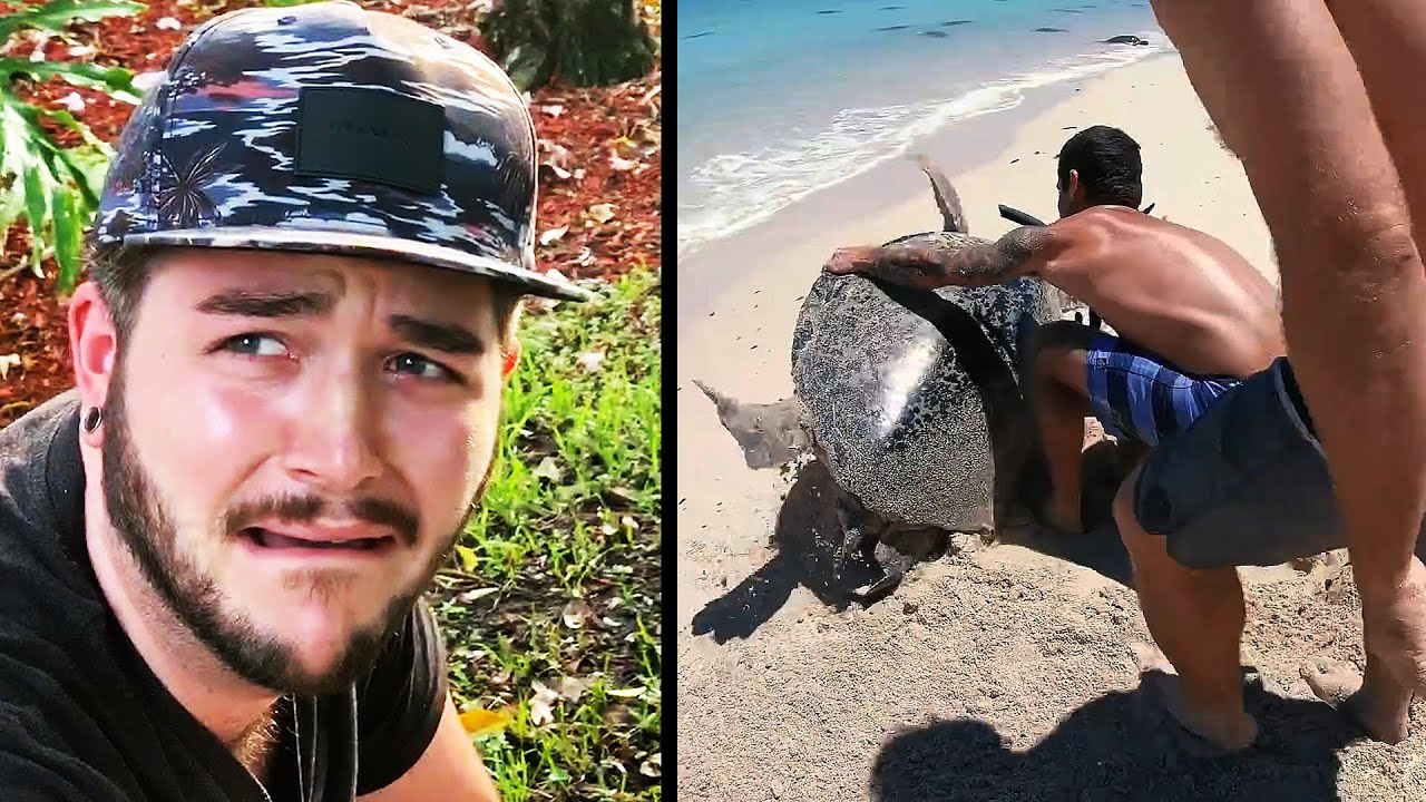 Ozzy Man Reviews: Humans Being Nice #2