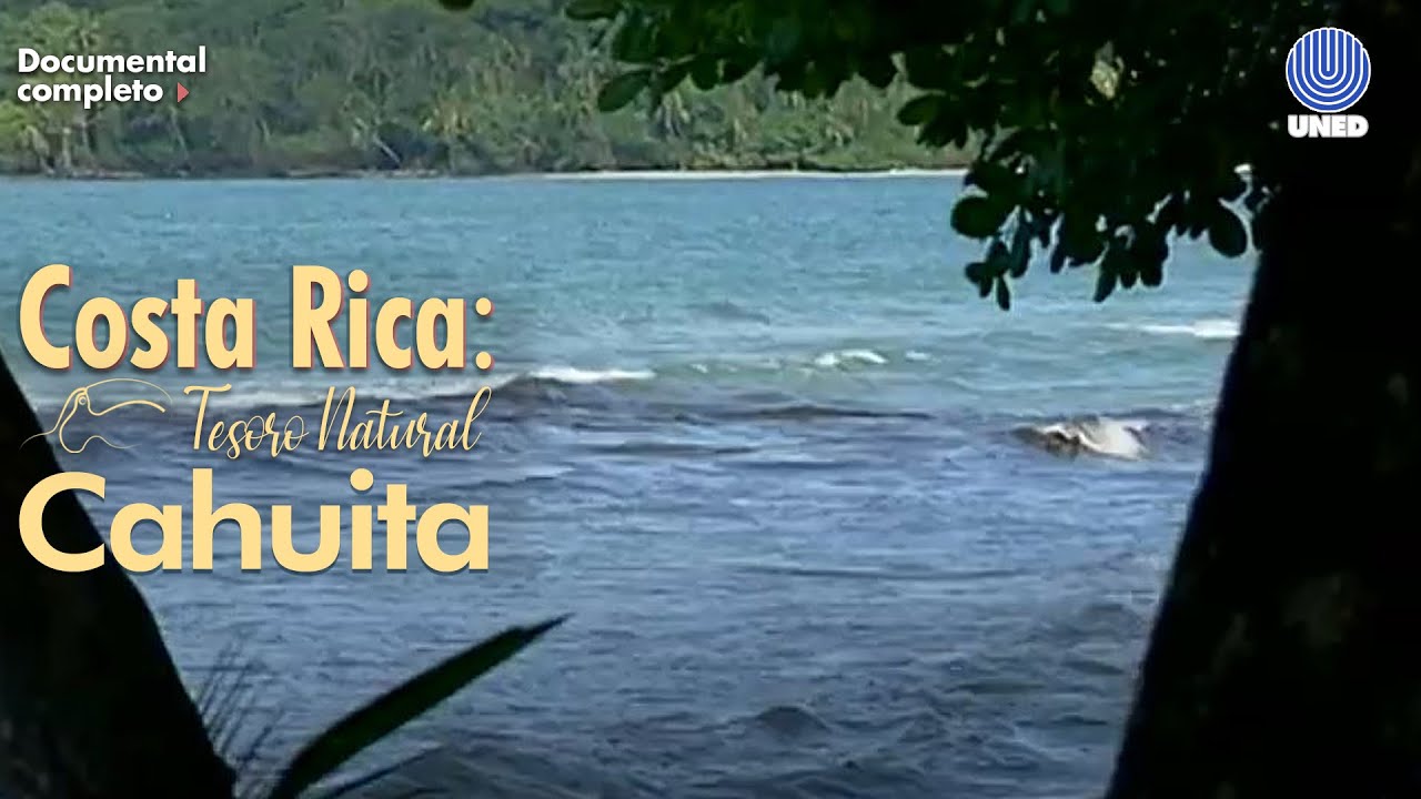 Tesoro Natural: Parque Nacional Cahuita