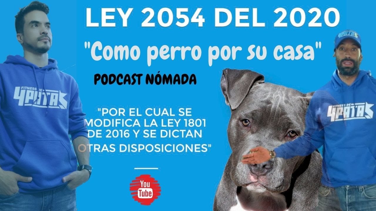 LEY 2054 | LEY DE PROTECCIÓN ANIMAL EN COLOMBIA | MASCOTAS PODRÁN ESTAR EN ZONAS COMUNES | 1RA PARTE