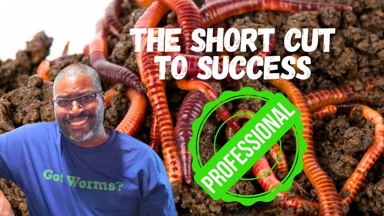 How To Become A Worm Farming EXPERT For Beginners