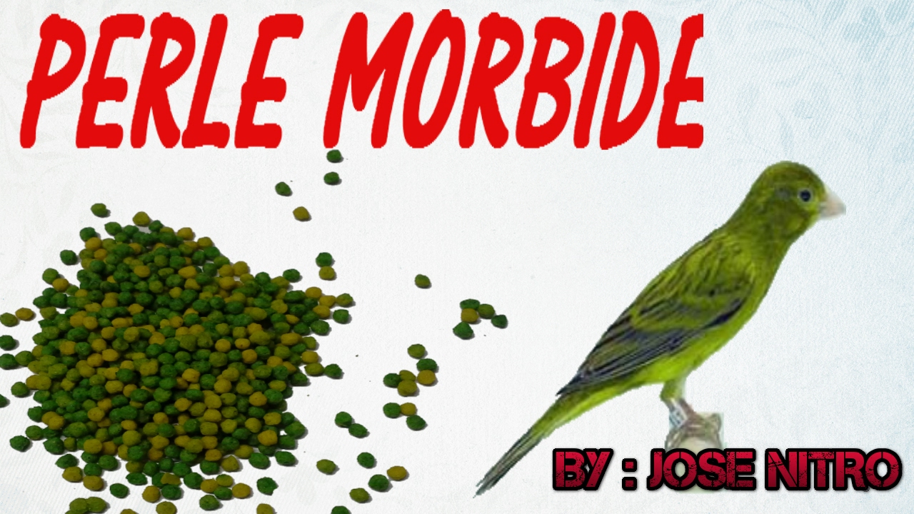 USANDO PERLE MORBIDE