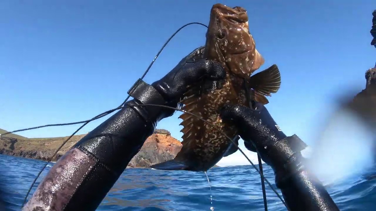 Spearfishing Madeira Island Ep.2