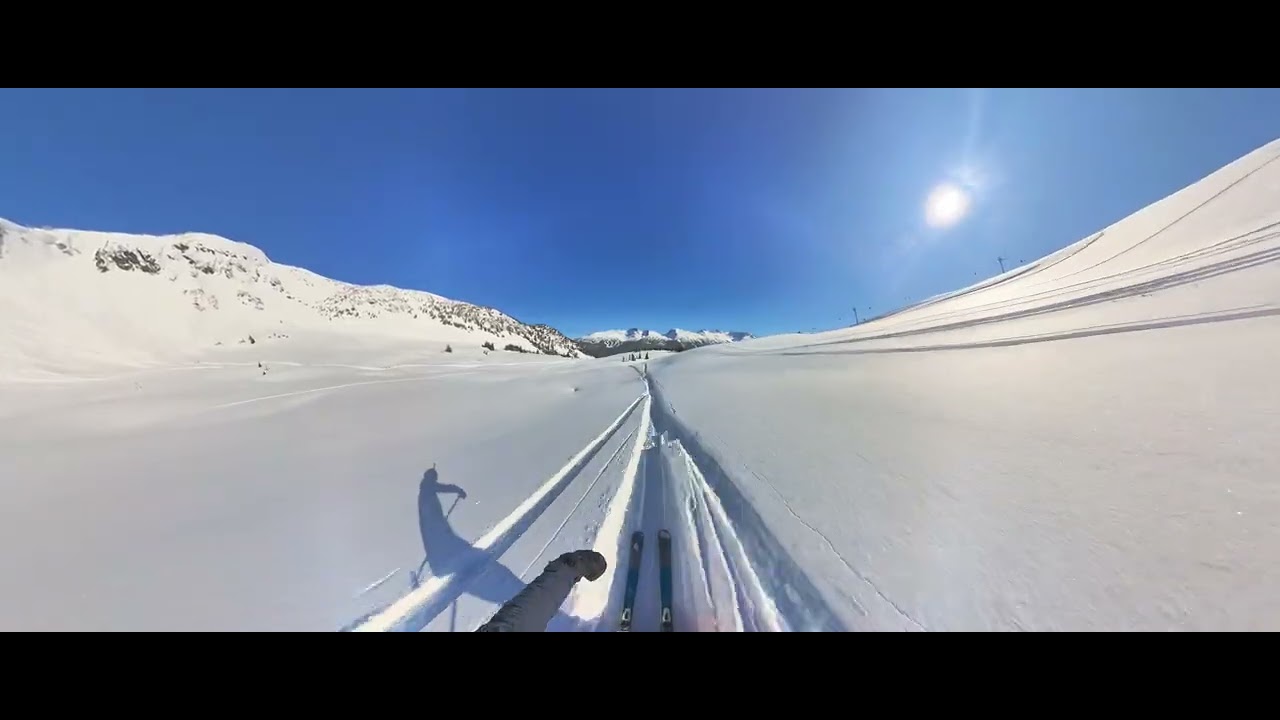 Whistler Powder Day