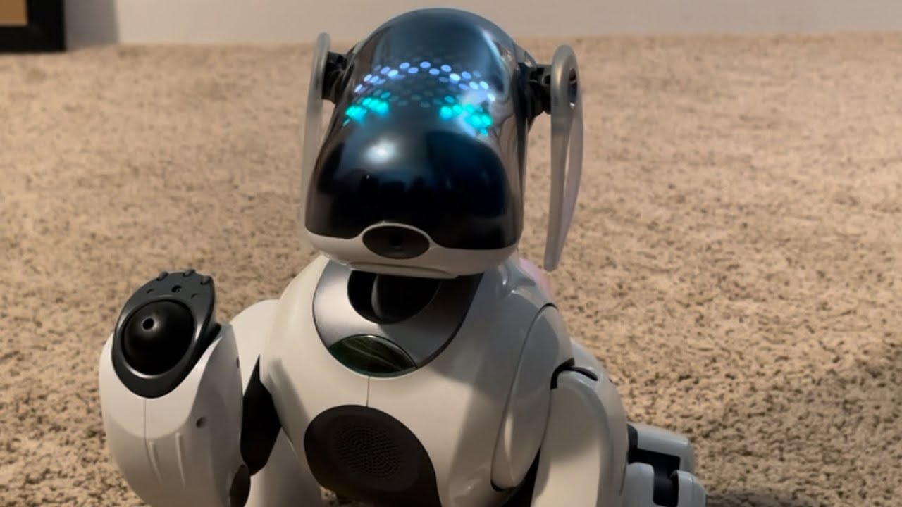 Pierre, the White Sony Aibo ERS-7’s First Boot Up!