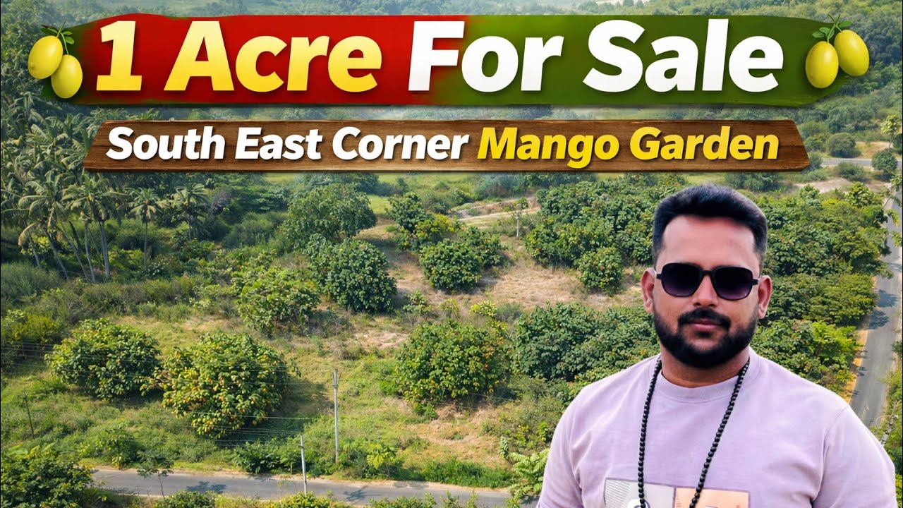 1 Acre Mango Land For Sale 