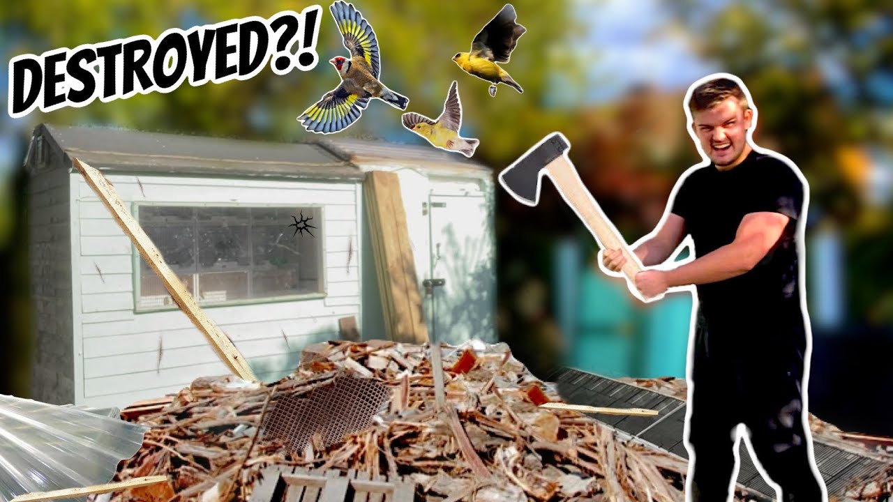 Bird Aviary DESTROYED!? - NEW Bird Room Part 1