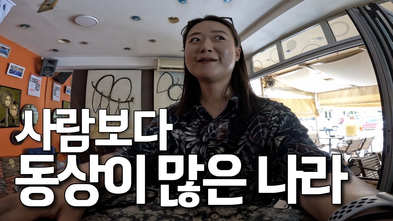 🇲🇰1조원을 들여 만들었다는 도시 방문기-세계여행, 스코페[118]