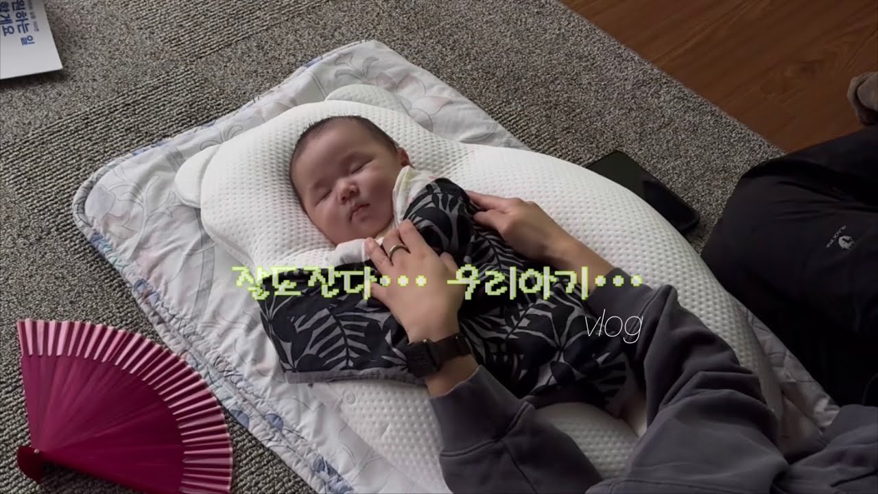 가을 정취 느껴지는 (작년 가을) 일상 🌾