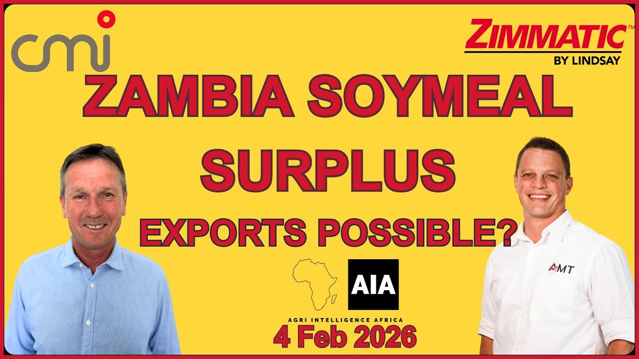 🇿🇲 Zambia soymeal surplus – exports possible?📊 African Grain Report | 5 Feb 2026