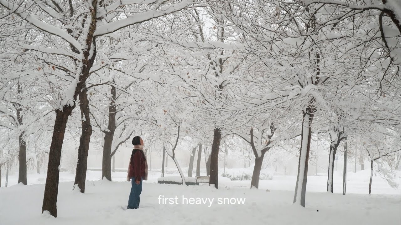 first heavy snow || new year, studying, finished postponed scarf and journaling.