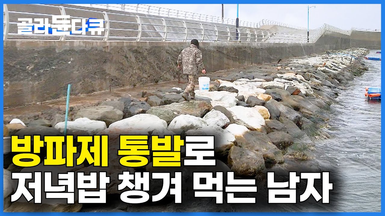 배도 필요없다. 어제 던진 통발 건지더니 저녁밥 해결.. 절벽에 집 지어 놓고 유유자적 사는 남자｜한국기행｜#골라듄다큐