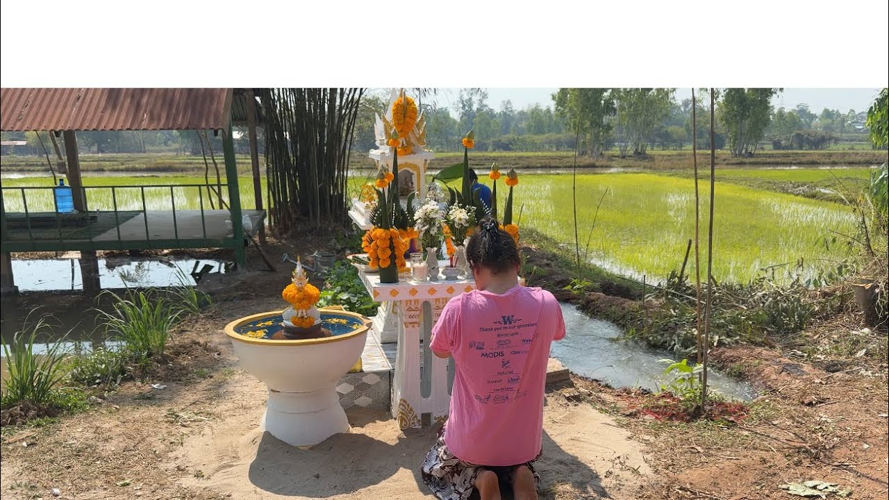 เสร็จเรียบร้อยของปู่เฮา โชคๆหมานๆเด้อปู่เด้อ ปลูกหยังกะให้งอกให้งาม ทำมากะขอให้ค้าให้ขึ้นเด้อปู่เด้อ