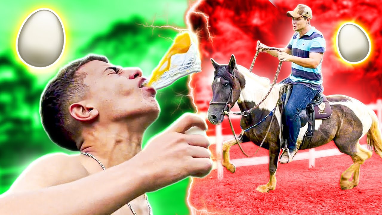 DESAFIO do OVO a CAVALO * Muito Engraçado 😂