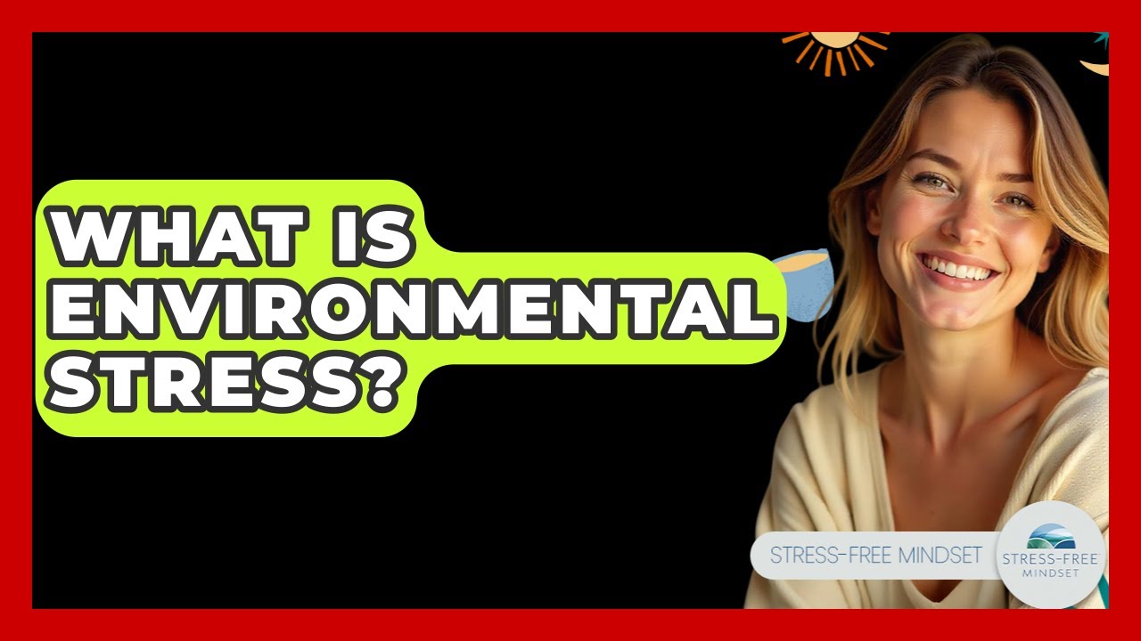 What Is Environmental Stress? - Stress Free Mindset