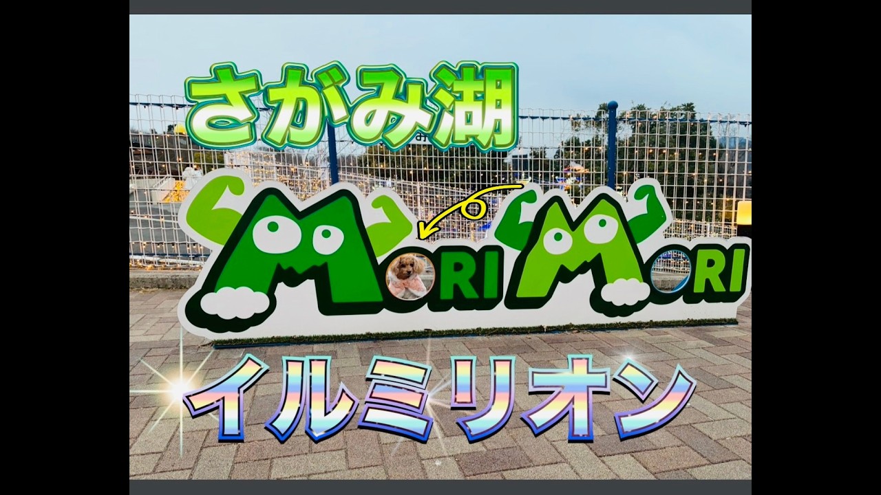 相模湖ｲﾙﾐﾘｵﾝ行ってきました！今回はたまごっちコラボ