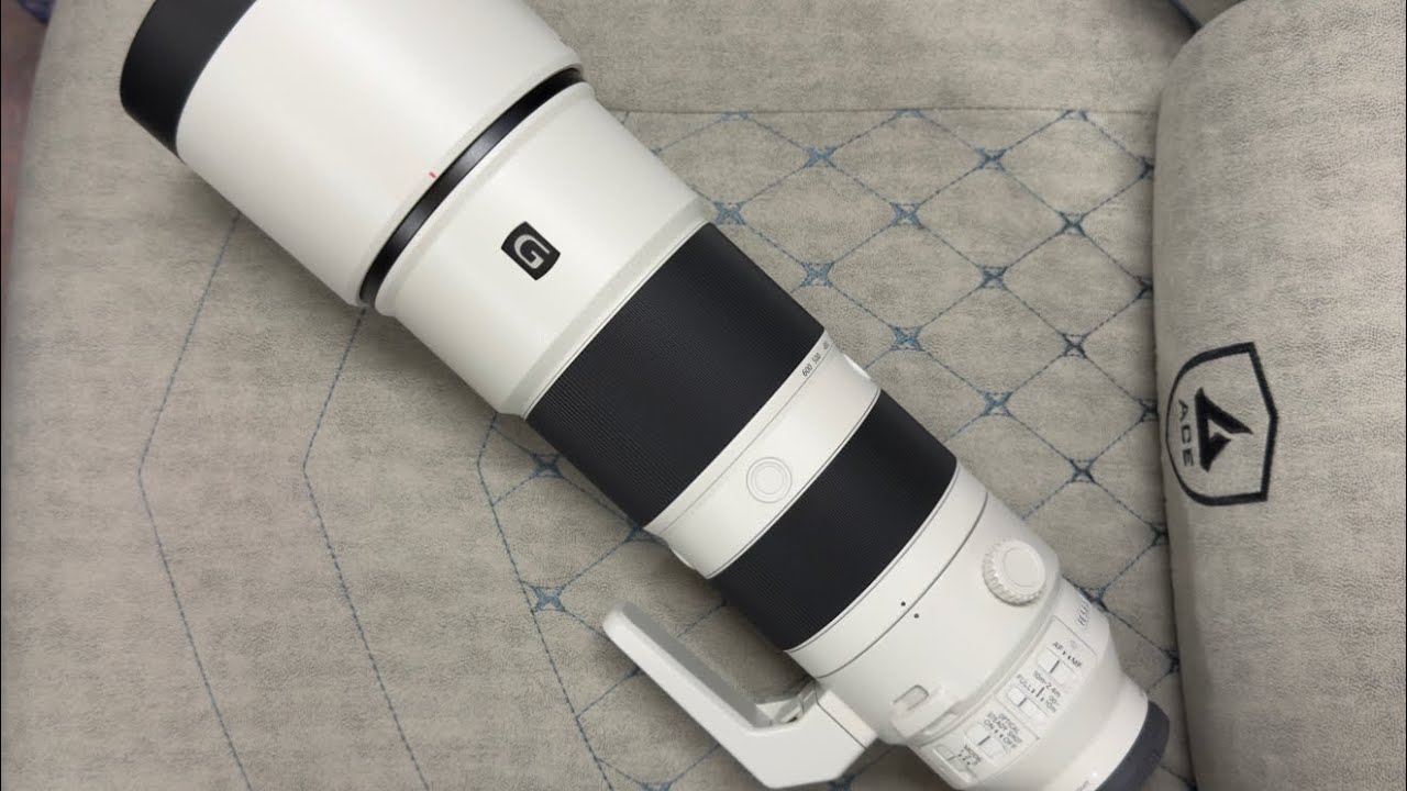 SONY FE 200-600mm F5.6-6.3 G OSS (SEL200600G)使用レポート(α1 IIとの写真も紹介、ゆっくりトーク)