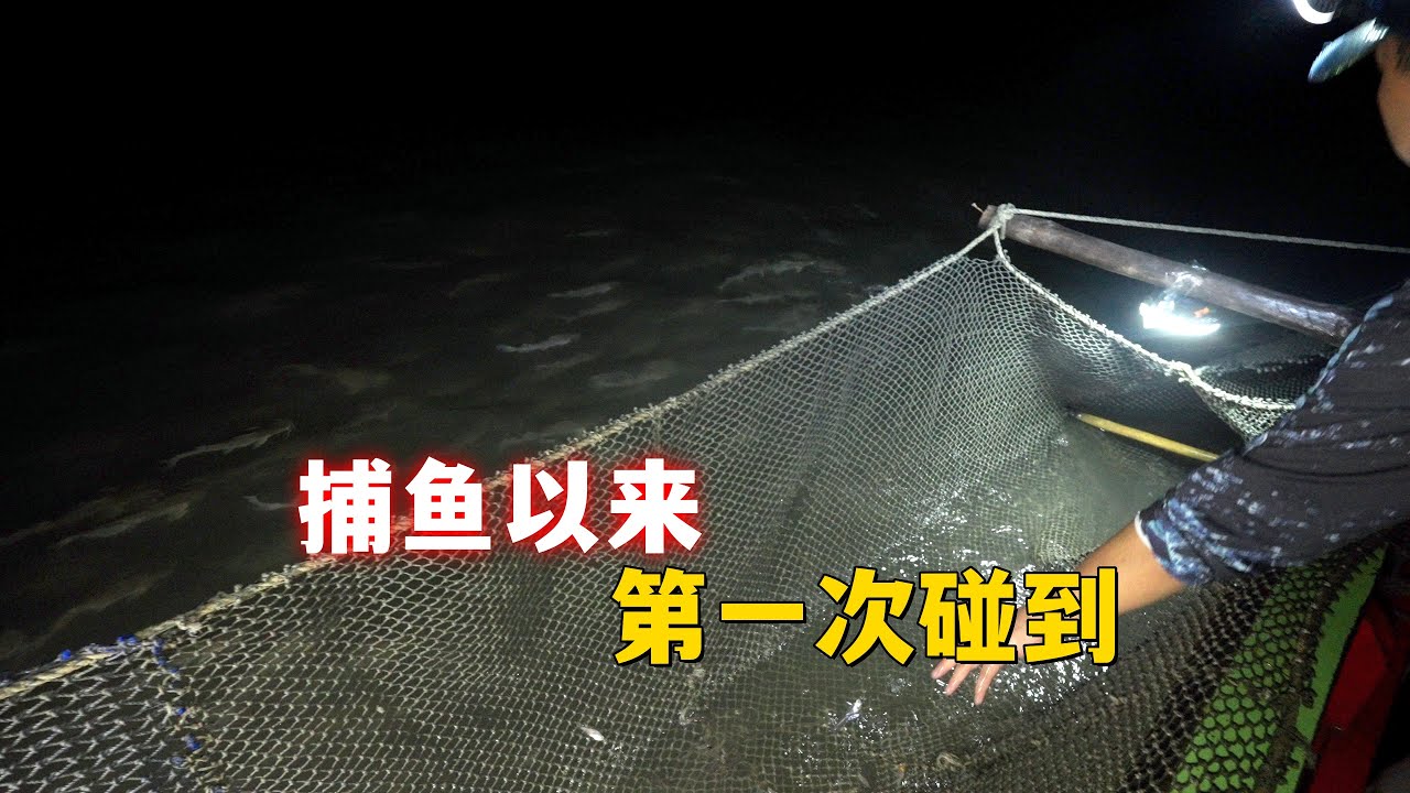 这是鱼群洄游吗？捕鱼的小船周围有成千上万的鱼儿找吃的
