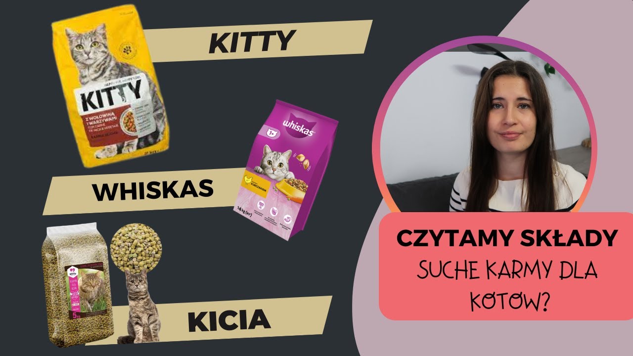 CZYTAMY SKŁADY | Co myślę o karmach suchych dla kotów? | whiskas, kitty, kicia