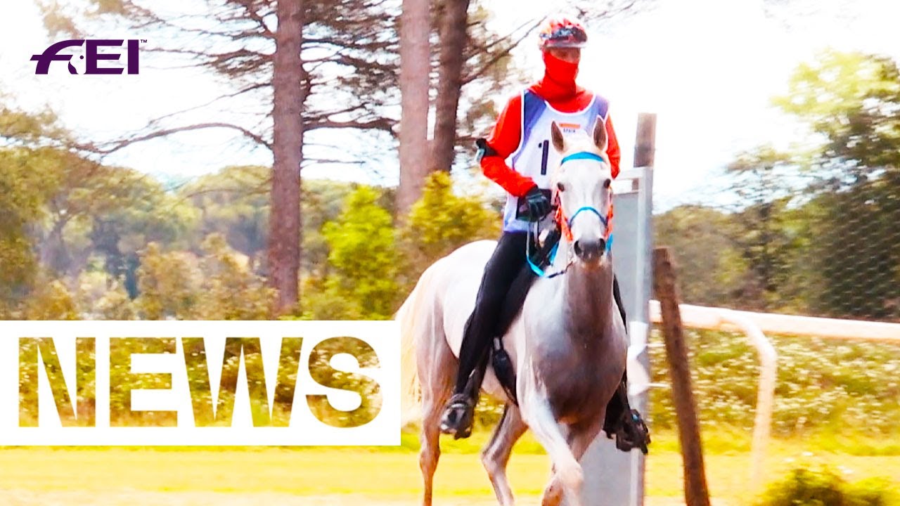 What a Finish in Pisa! | News | Longines FEI Endurance World Championships