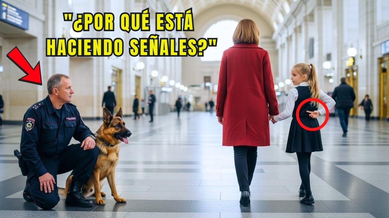 La niña de una empleada hizo una señal oculta a un perro policía — su reacción emocionó a todos