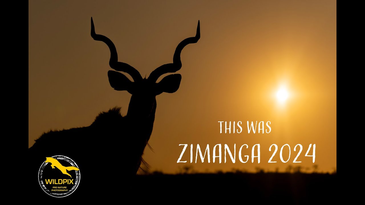 WILDPIX TRAVEL - THIS WAS ZIMANGA 2024