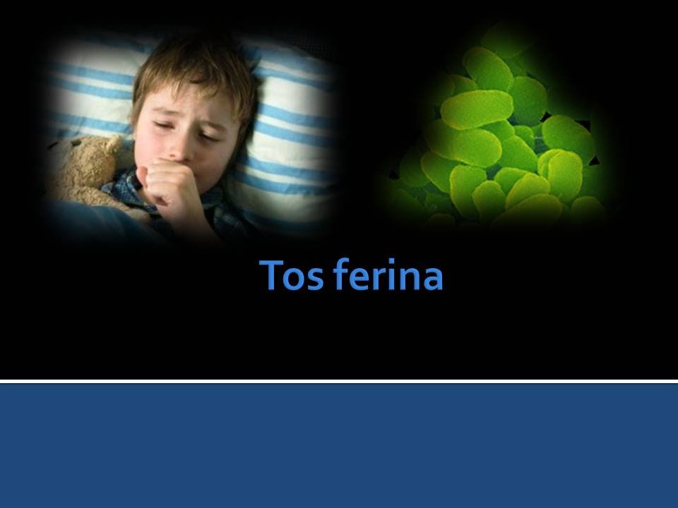 Tos ferina (Bordetella pertussis)