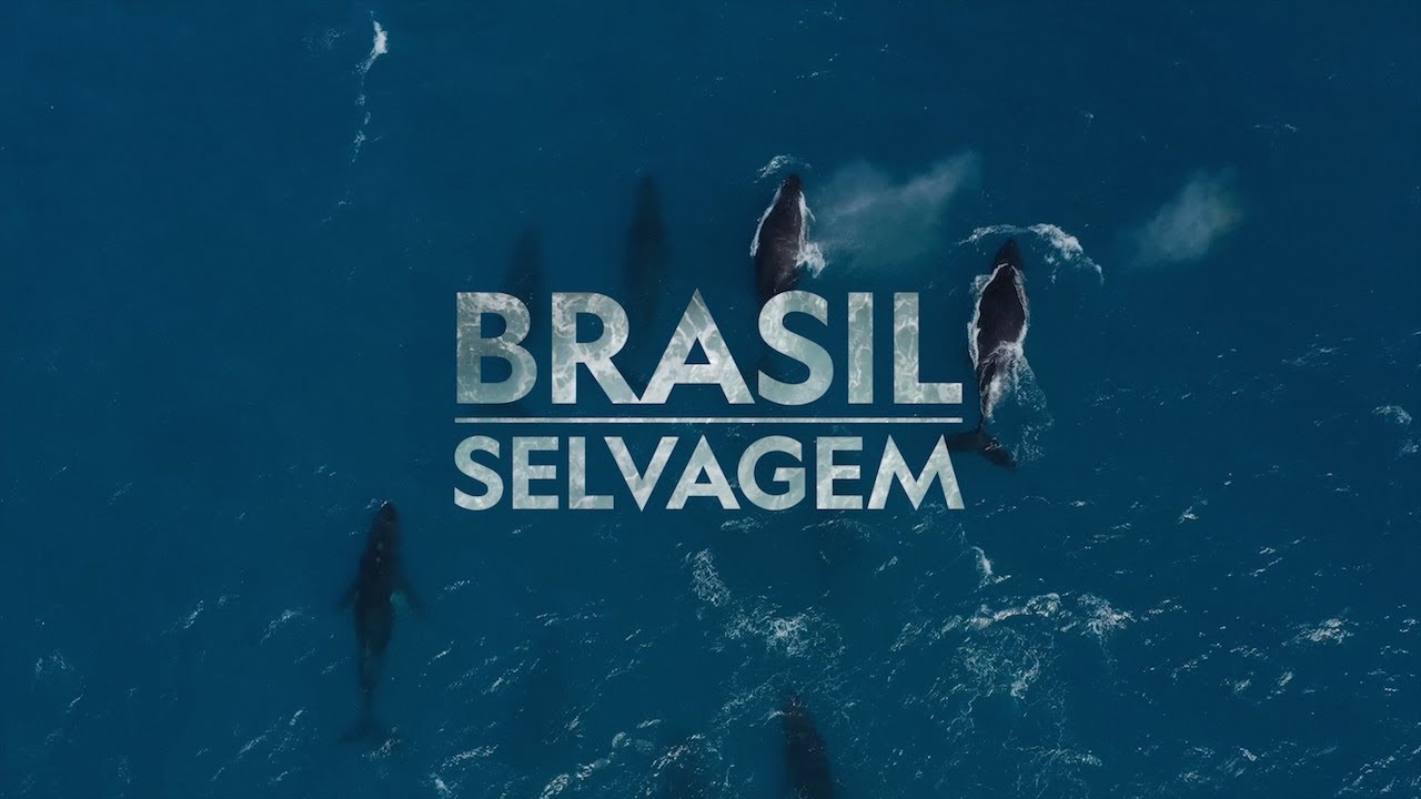 Promo BRASIL SELVAGEM: Costa Brasileira
