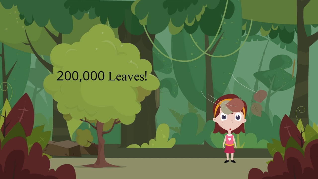 Protect Wisconsin Waterways: Leaf Collection