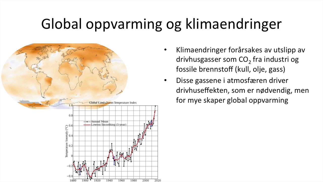 Samfunnsfag - Økonomisk vekst og bærekraftig utvikling