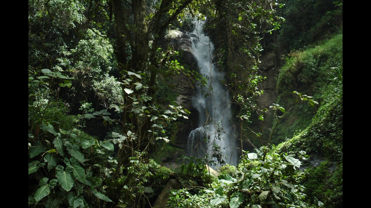 Parque Nacional El Ávila Sector Guatire ríos Del Norte, Aguasales, Pacairigua y El Ingenio.