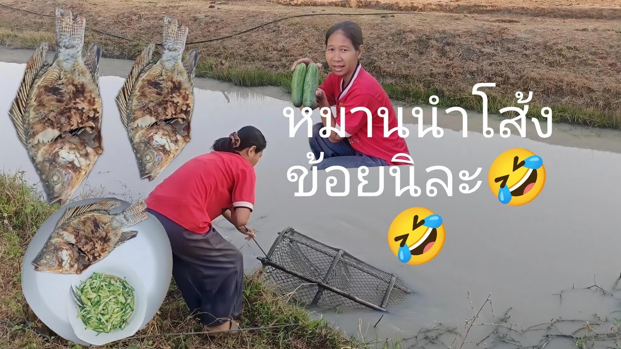  เลาะอยามลอบหาปา