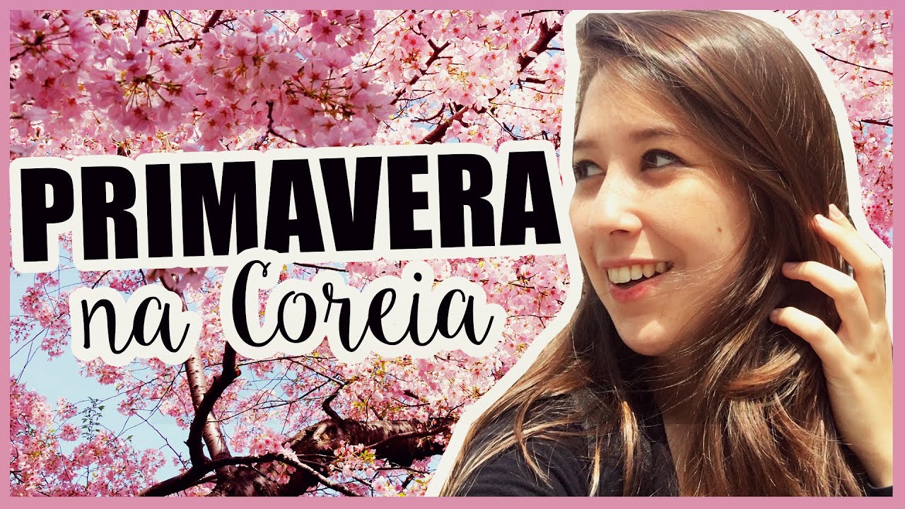PRIMAVERA NA COREIA DO SUL | Festival Flor de Cerejeira | MIDORI