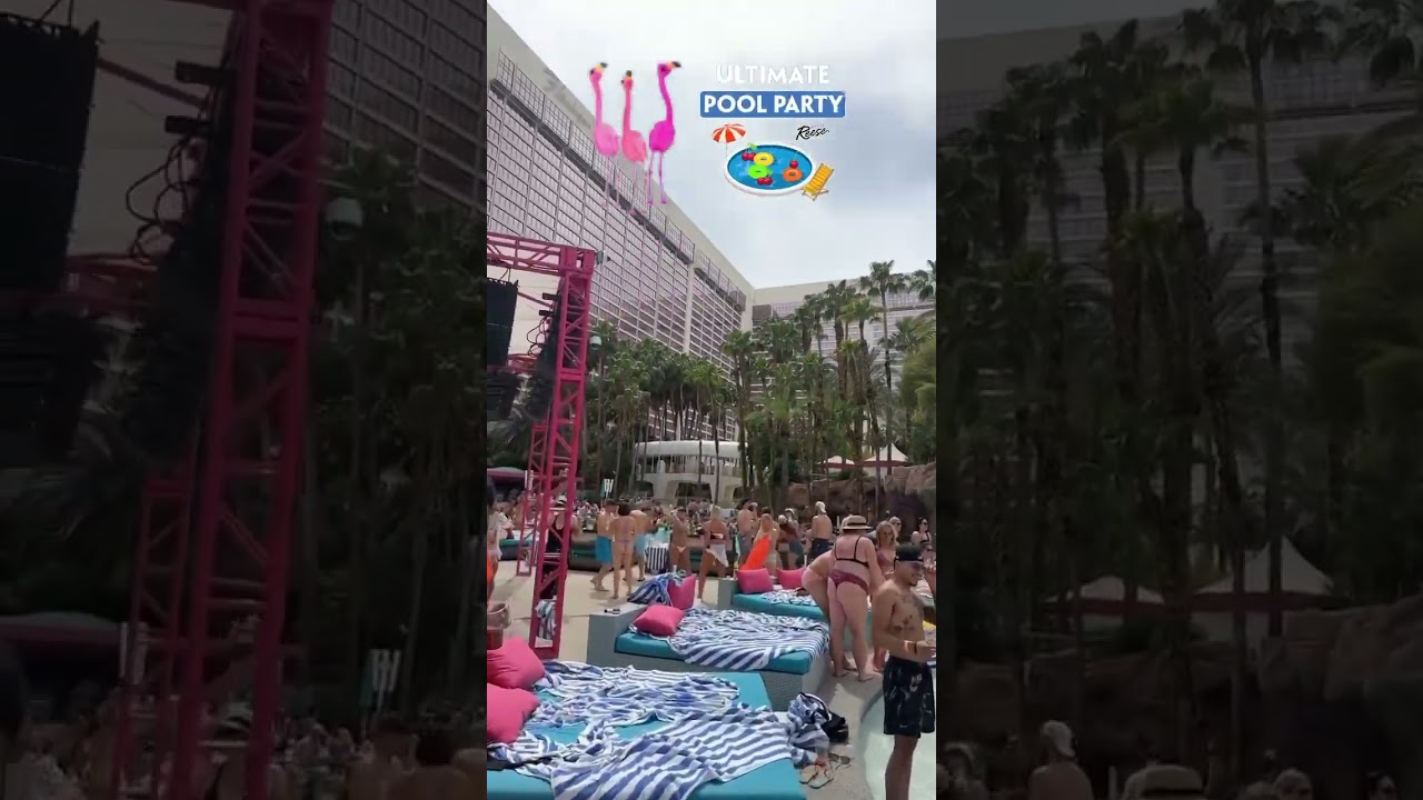 Flamingo hotel go pool party #lasvegas