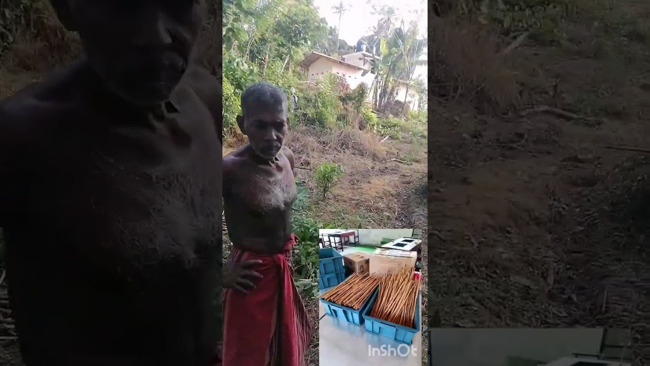 අනුන්ගේ ඇද හොයන මිනිස්සු හැමදාම වලේ අනුන්ගේ ඇද කෙලින් කරන්න දගලන මිනිස්සු හැමදාම වලේ.🤩🤩🤩