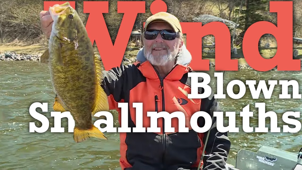 Wind Blown Smallies