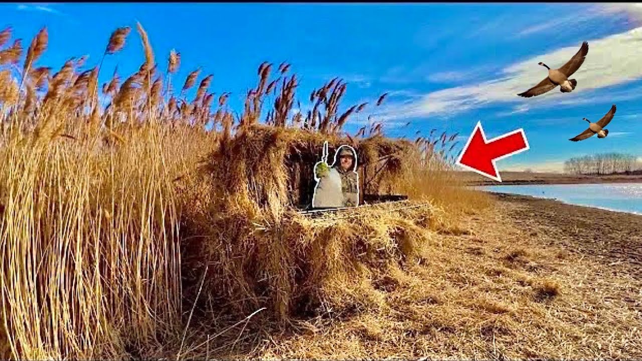 Homemade DIY Duck Blind for Canada Geese! | Goose Hunting 2023 (10 year old Band!)