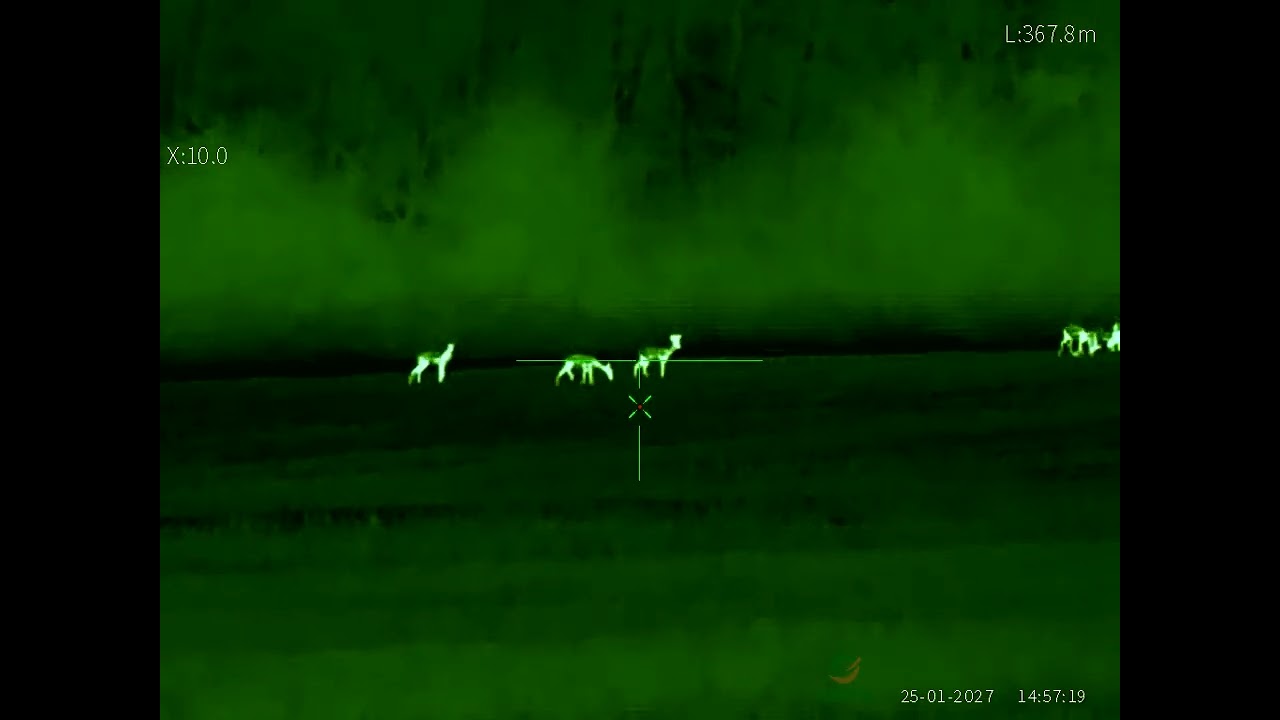 OneLeaf 75mm,  roe deers