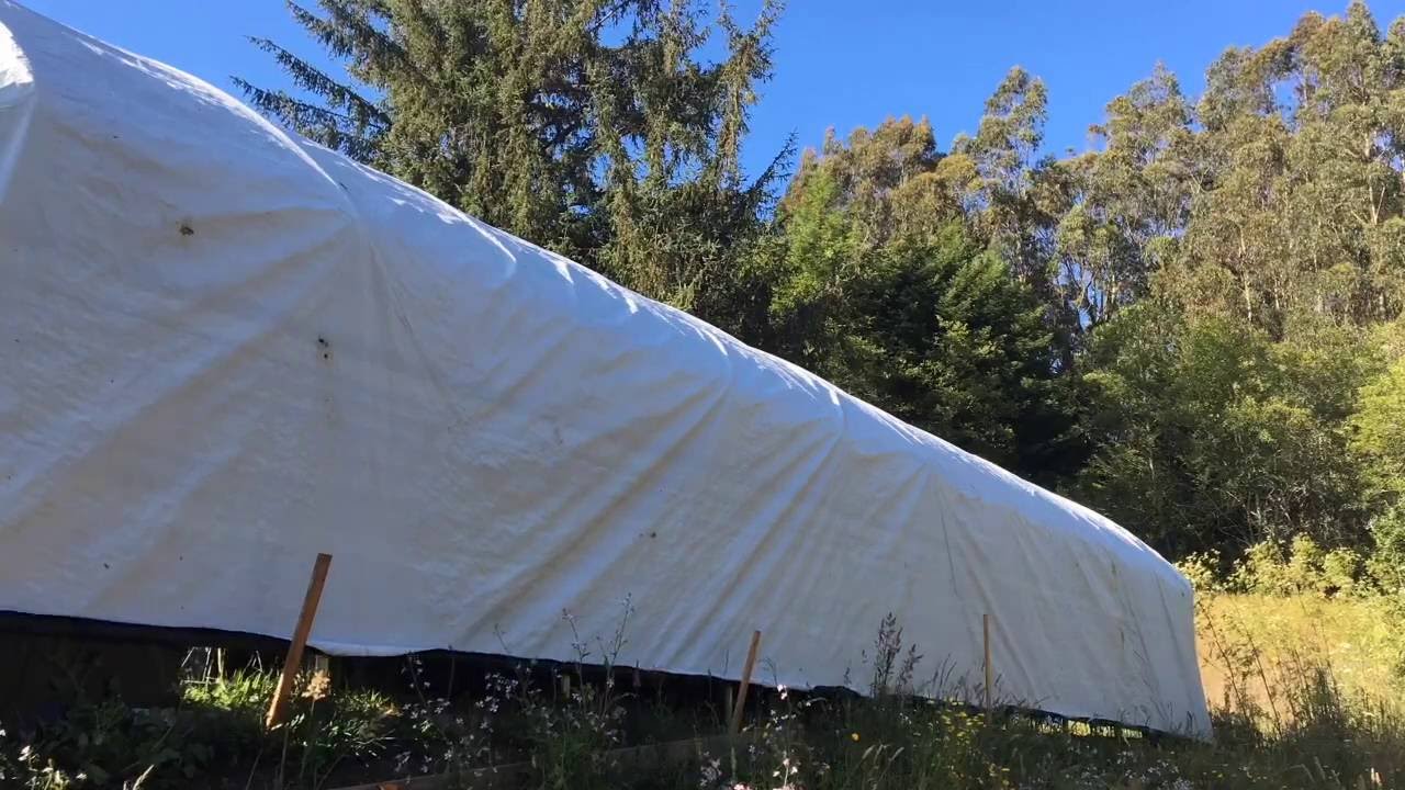 The Deprivator by Humboldt Light Dep - Auto Light Dep Greenhouse Kit