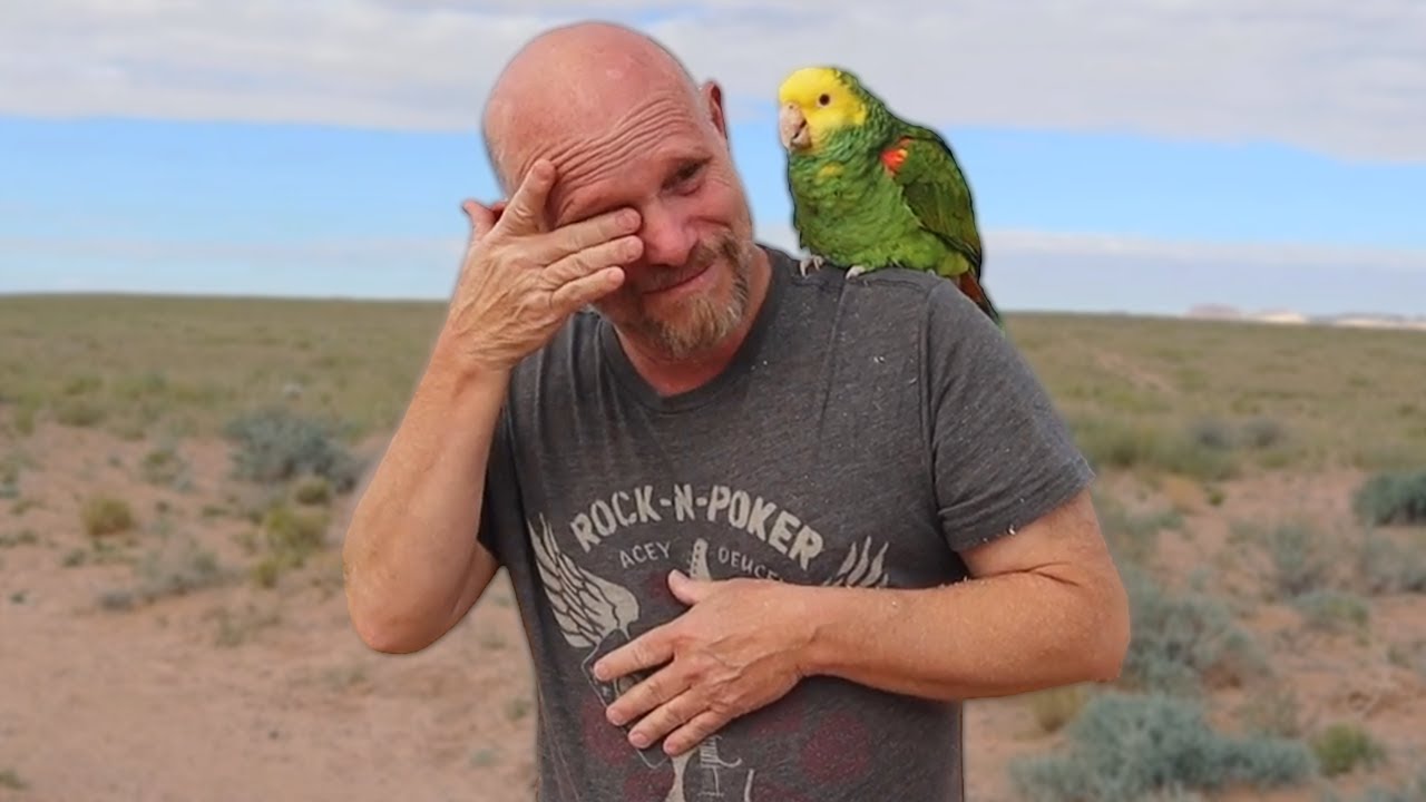 This Amazon REFUSED To Come Out Of the Closet... (But Look At Him Now!)