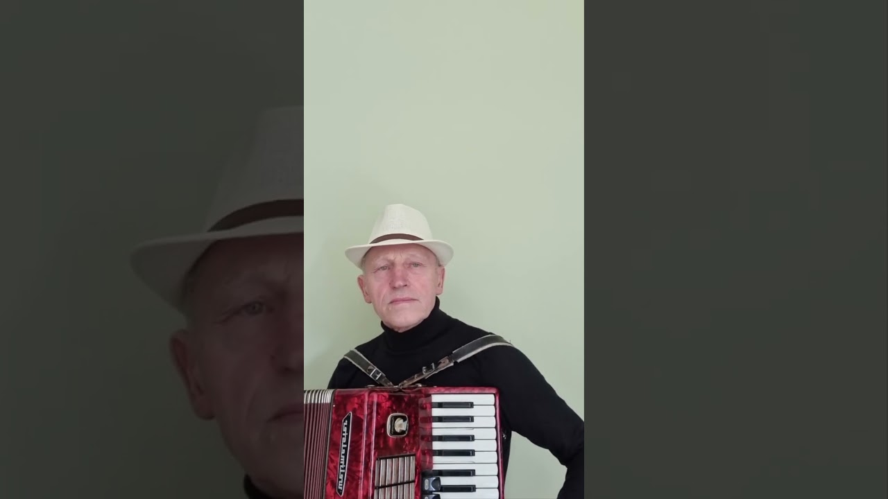 Alyvų šakelė