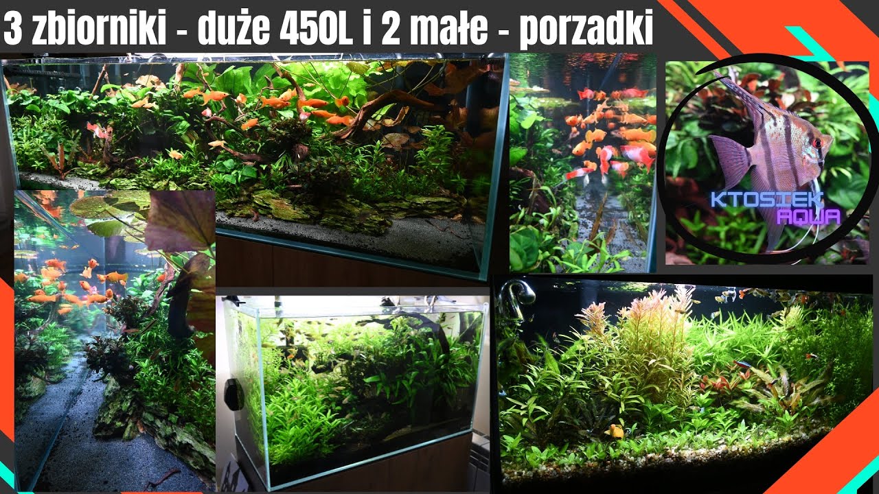 [450l][65l][54l]Moje Akwaria serwis 3 ZBIORNIKÓW [02 12 2025]